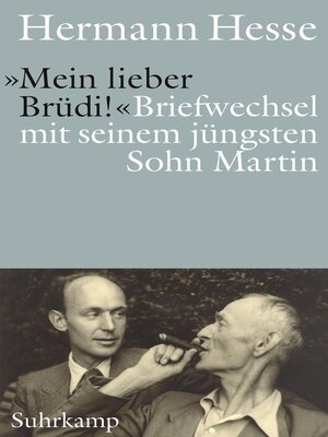 cover image of »Mein lieber Brüdi!«